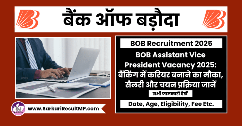 BOB Assistant Vice President Vacancy 2025